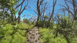 Mount Buller | Stonefly Descent