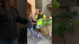 Wait for last seen! Short videos! #top #funny #trending #shortvideo #comedy #funnyvideo #vlog