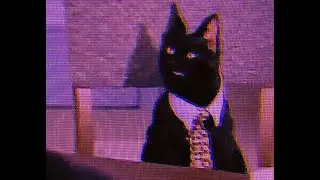 Leila Wilson [Woofle] - Funky Cat // 1280 X 960 Salem Saberhagen // Vers. ?yt