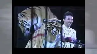 Le tigri di Stefano Orfei Nones all'11° International Circus Festival of Italy (2009)