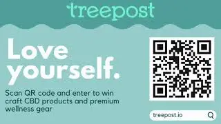 Treepost Lounge  Slides Video