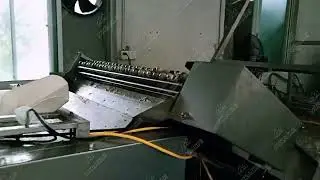 Small Scale Automatic Quail Egg Peeling Line