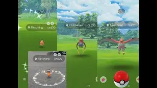 Fletchling Community Day 【Pokemon GO】