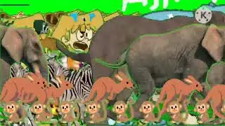 Mega Stampede green screen