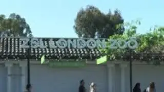 London Zoo reopens after virus closure