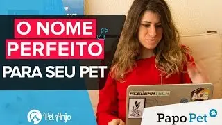 Como escolher o nome do meu pet? - Papo Pet por Pet Anjo