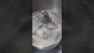 Boiling snake #Shorts