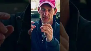 Best shaky head set up!  #fishinglure #fishing #bassfishing