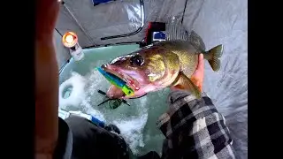 xmas eve walleye