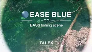 イーズブルーの見え方｜バス編【TALEX公式】