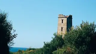 Road Trip around Australia-Sydney to Melbourne🇦🇺🚗  (Pt.6)