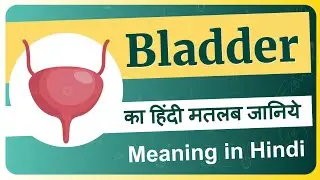 Bladder meaning in Hindi | Bladder ka matlab kya hota hai | Bladder means and hindi word