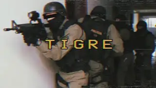 T.I.G.R.E. - Special Raids