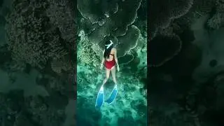 Crazy #freediving #freedivingvideo