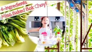 Miso Baked Bok Choy & The Clean Vegetables Adventure! By Lauren Fleur's Kitchen