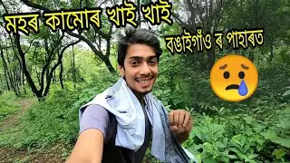 Bongaigaon Hill , mosquito and Me .