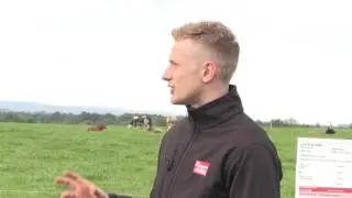 Tullamore Farm open day - the herd