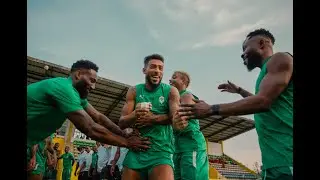 Inside dans la tani&egrave;re : un mardi avec les Panth&egrave;res du Gabon