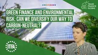 Green finance and environmental risk: Can we diversify our way to carbon-neutral?