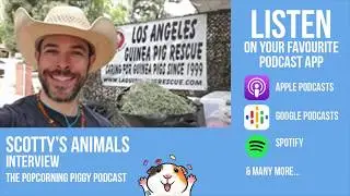 Scotty's Animals Interview - Listen on the Popcorning Piggy Podcast