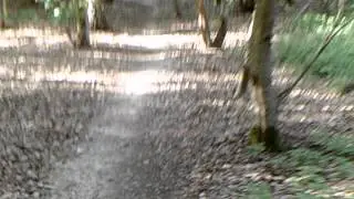 Rother Valley Jump Track Downhill