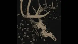 (FREE) BEAT RAP BOOM BAP 