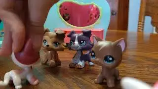 Lps: Moving to new York Season 1 Ep 1: Hard beginnings