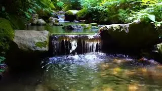 Sleep Better Tonight 🌙 with Peaceful Piano 🎶 and Small Stream 🌊 Nature Ambience