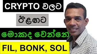 CRYPTO වලට ඊළඟට මොකද වෙන්නේ? | FIL, BONK, AND SOL | BITCOIN