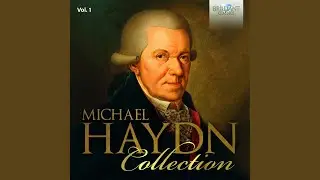 Symphony No. 30 in D Major, MH 399: I. Adagio - Allegro spiritoso