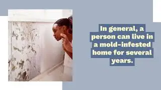 Mold Removal - Hawthorne - Solid Services Water Damage Restoration - +1 (424) 255-1388