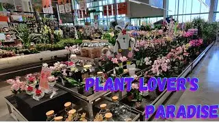 Every Plant Lover's Paradise 🍀🌿🌼