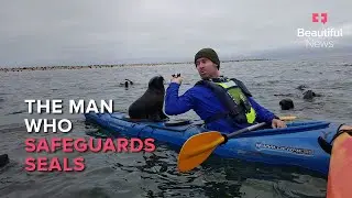 Namibia&rsquo;s seal saviour: One man is freeing hundreds of animals from deadly debris | Beautiful News