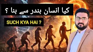 The Biggest Myth About Human Evolution &ndash; Humans Did NOT Come From Monkeys