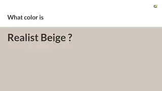 Realist Beige color #d3c8bd hex color - Grey color - Cool color d3c8bd