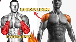SHOULDER + FOREARMS DAY 🔥💣💥|| #shoulder #shoulderworkout #shoulderday #forearms #fitness