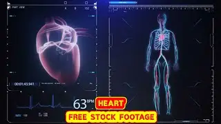 HEART ANIMATION   FREE STOCK FOOTAGE   COPYRIGHT FREE VIDEOS   NO COPYRIGHT   ROYALTY FREE   HD   4K