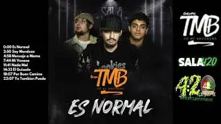 Grupo TBM/Es normal (Album) Sala 420