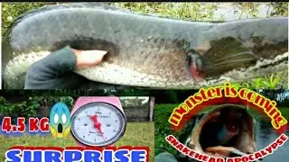 SNAKEHEAD APOCALYPSE || BLUE DRAGON IS ON FIRE 🔥/7CM,14GMS/ CASTING SNAKEHEAD EP 17