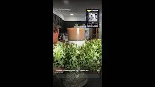 New Fall Greenery just arrived! Low prices, great quality