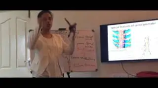 Anatomy of Spinal cord - Part I - by Dr Vijaya
