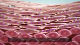 Pentavitin   hoạt chất cấp ẩm mới