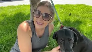I Unbox & Review Pet Marvel Dog Dryer - Ultimate Grooming Power for Large Dogs & Cats!