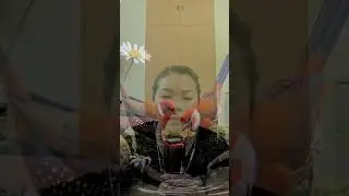 Nhịp cầu tri âm