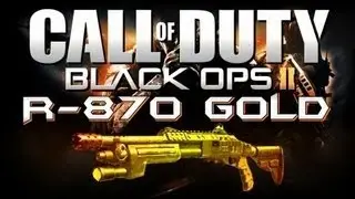 BO2 Gold R870 MCS