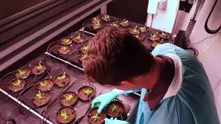 Why Do We Grow Plants in Space? We Asked a NASA Expert| Nasa Wonders |