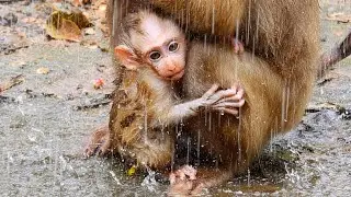 Sweet newborn baby hugs mother legs tightly under rain coz he want mum to return