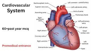 Cardiovascular system MCQ| Past year mcq| premedical entrance exam 