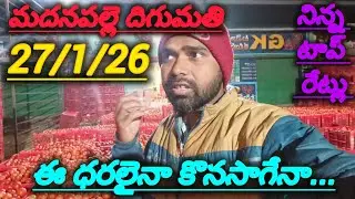 27/1/26 Madanapalle Tomato market stock today 🍅 నిన్న టాప్ రేట్లు #yesterdaytomatorate #crkvideos16 