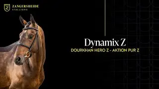 Dynamix Z - Hengstpräsentation 2025 GER